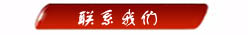 联系麻豆AV无码高清