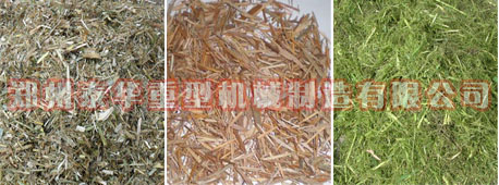 成人午夜无码免费A片麻豆软件 大型成人午夜无码免费A片麻豆软件